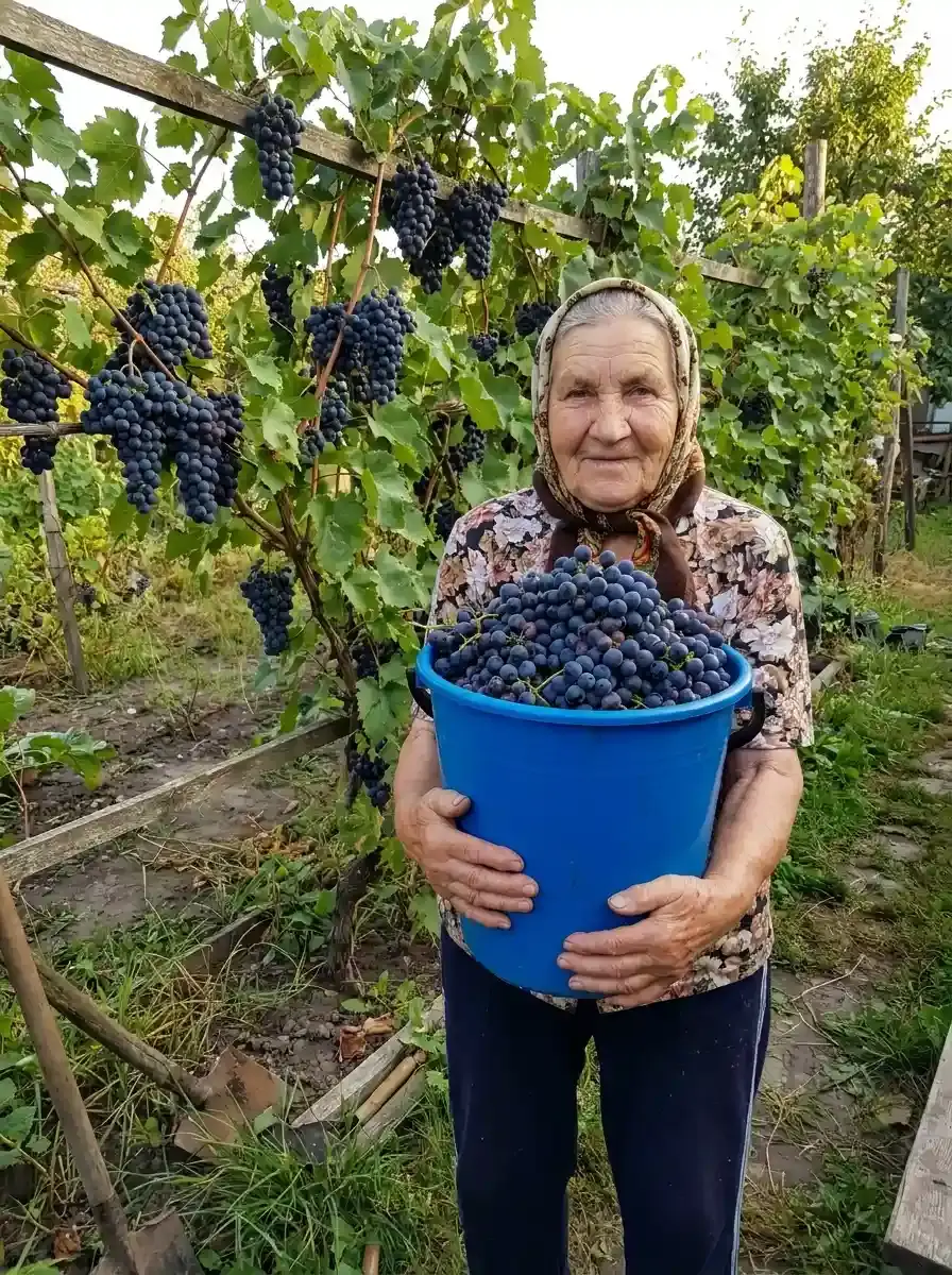 Фото клієнта 4