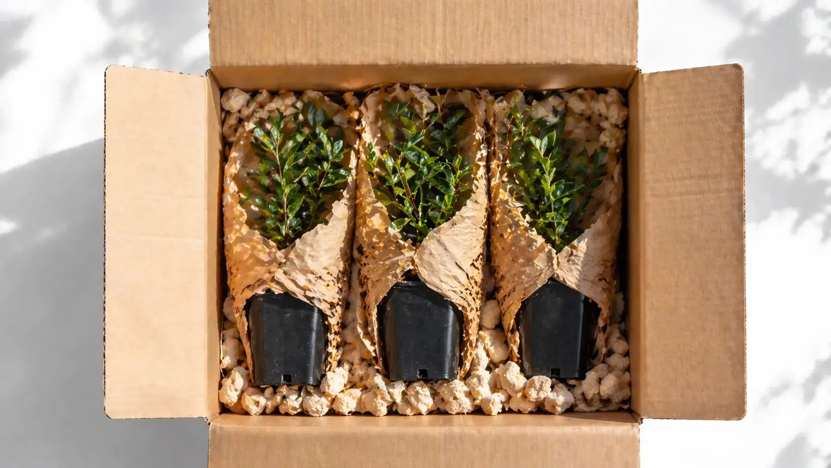 Надійна транспортна упаковка