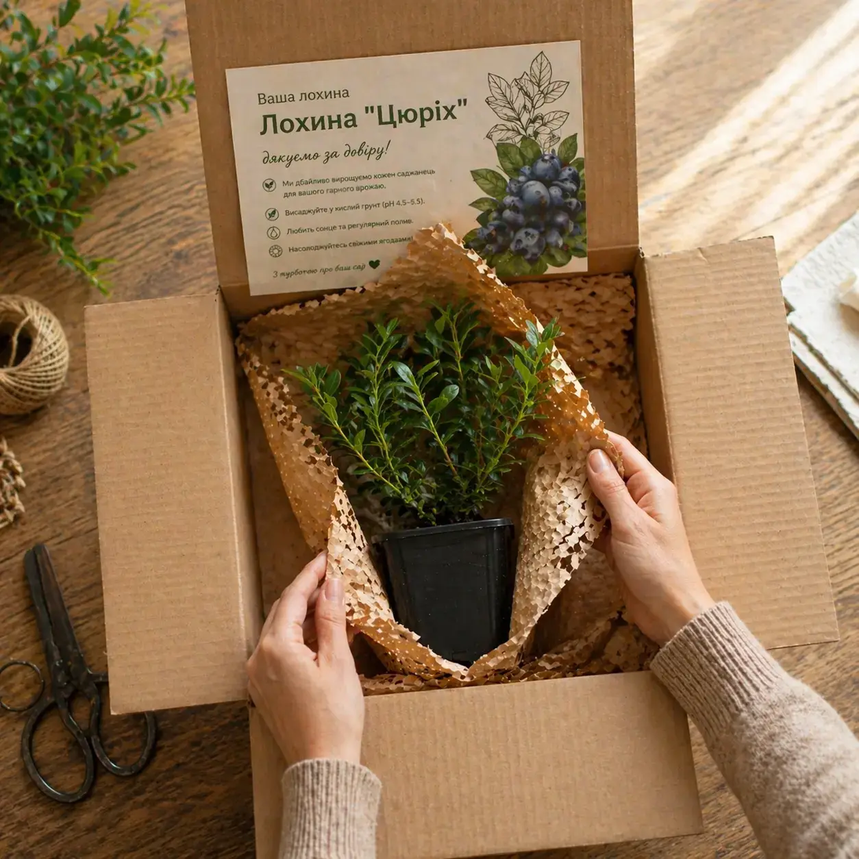 Розпакування коробки