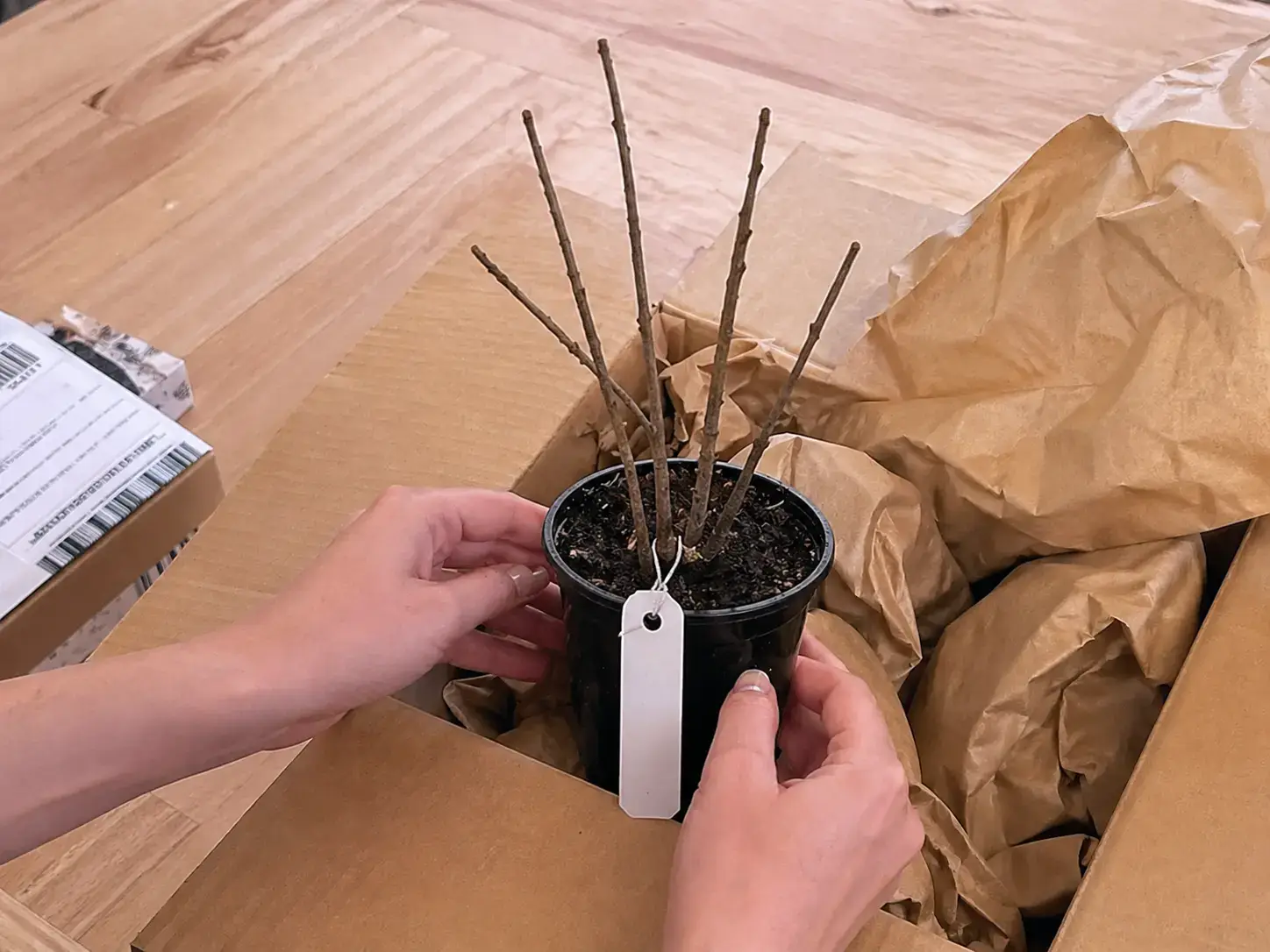 Відгук покупця