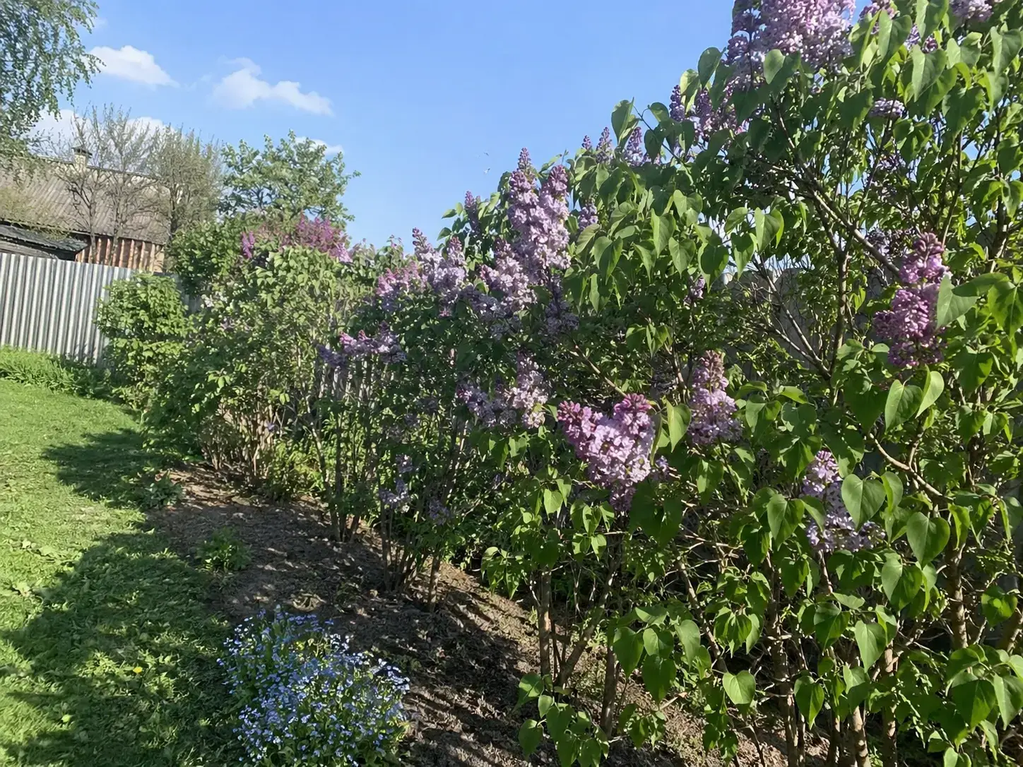 Відгук покупця