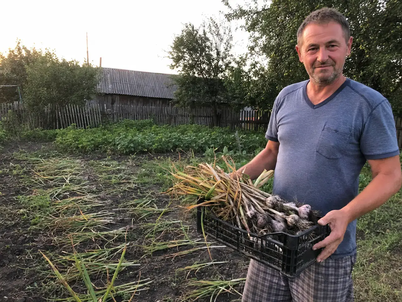 Господар із ящиком щойно викопаного часнику