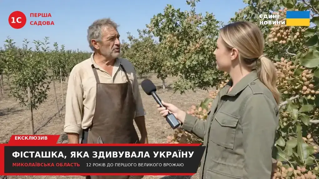 Мирослав Гнатюк — відео-репортаж із фісташкового саду