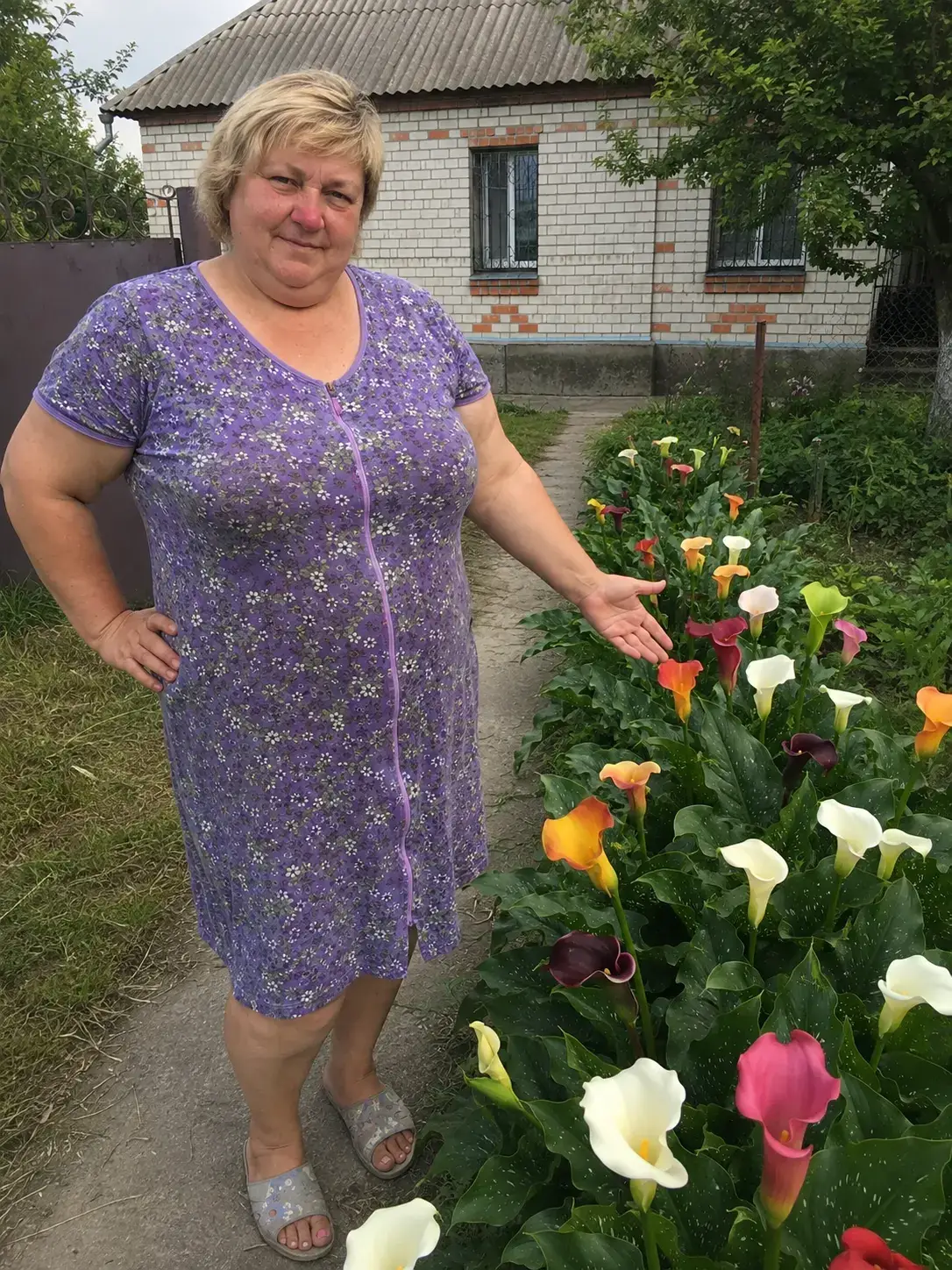 Букет кал Ароха у подарунок