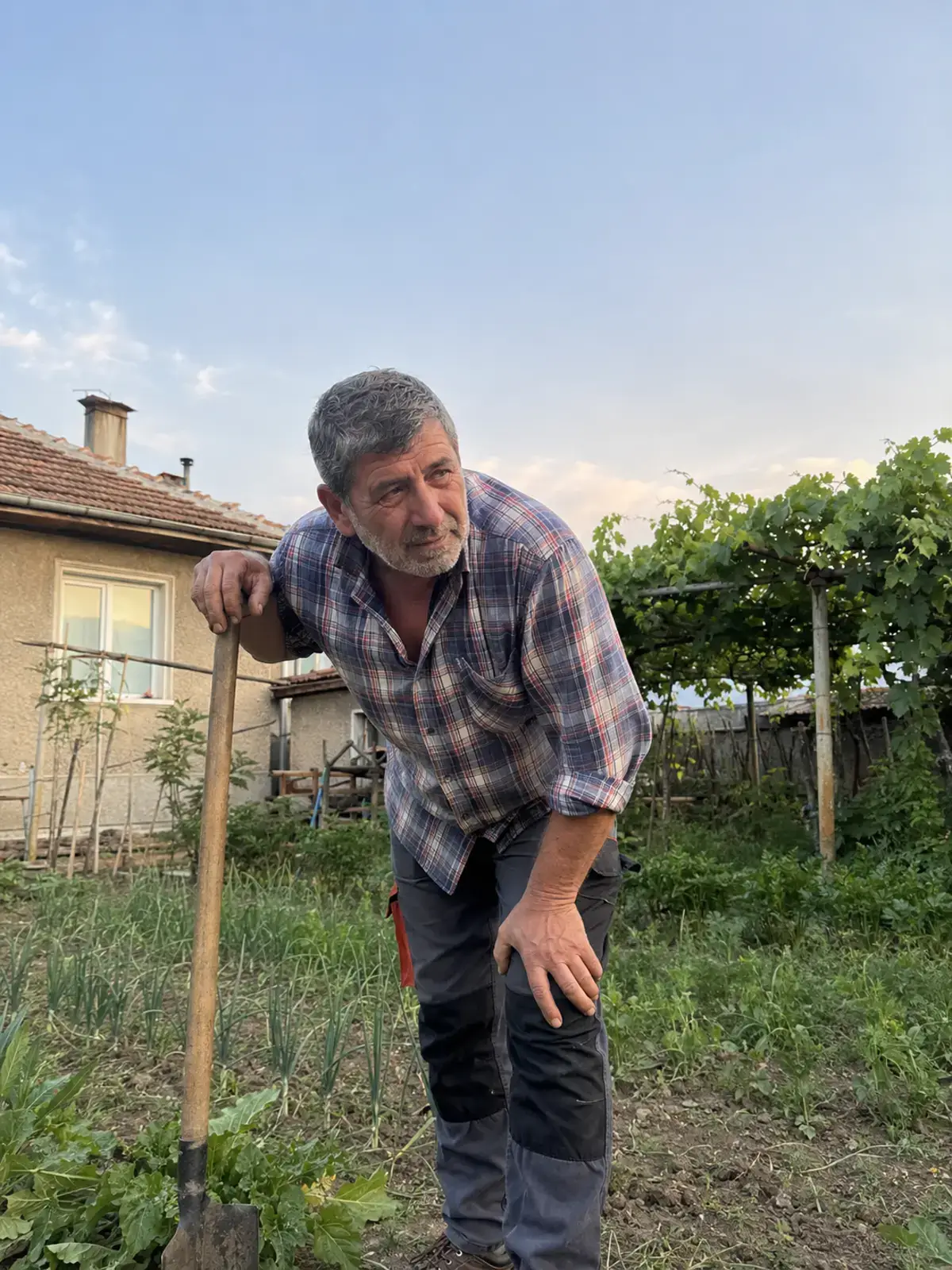 Пауза у дворі